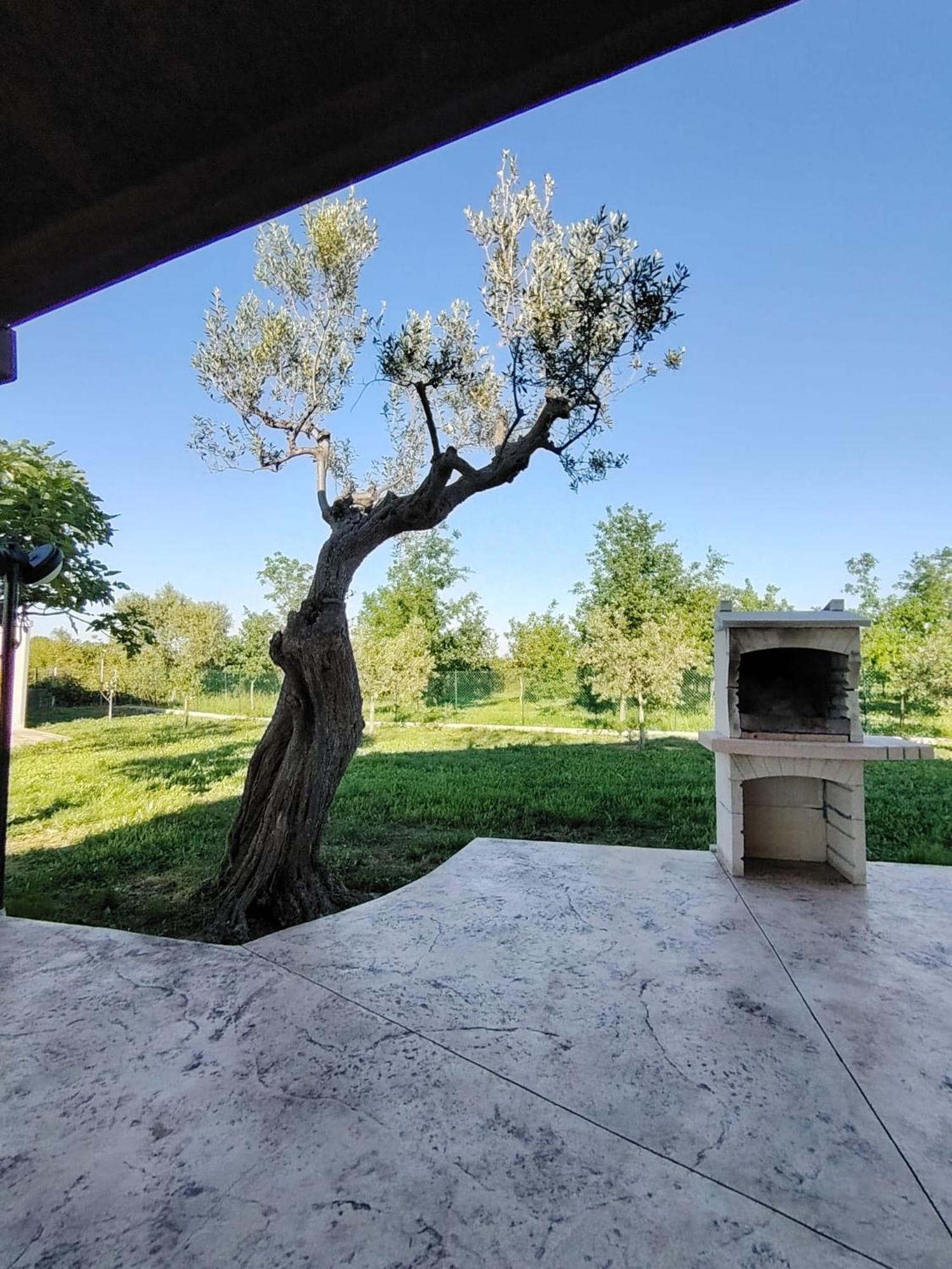 Casale Nel Verde San Vito Chietino Eksteriør billede